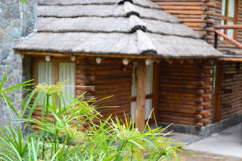 Mendoza Sol Y Nieve Villa Potrerillos Ngoại thất bức ảnh