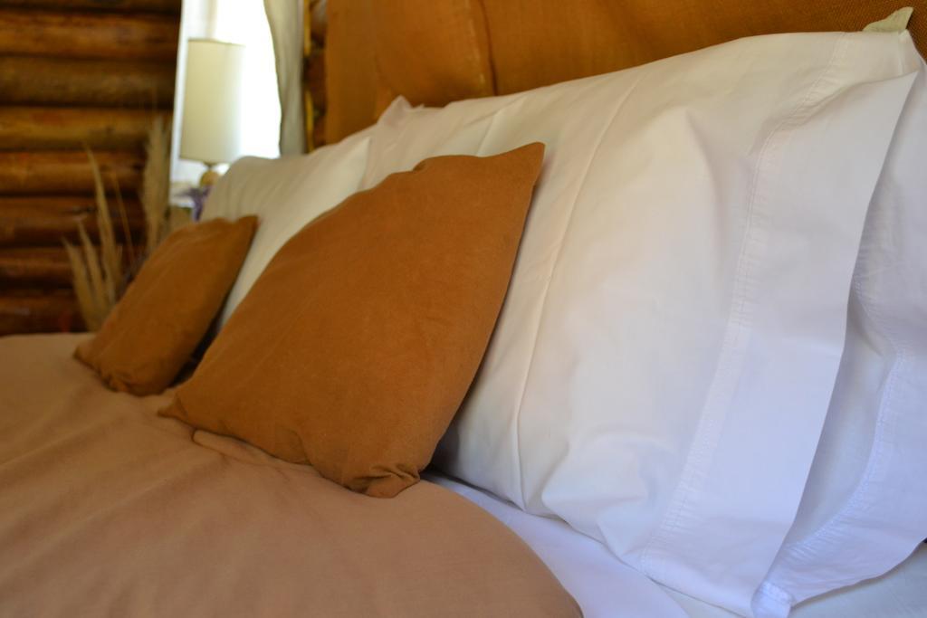 Mendoza Sol Y Nieve Villa Potrerillos Phòng bức ảnh