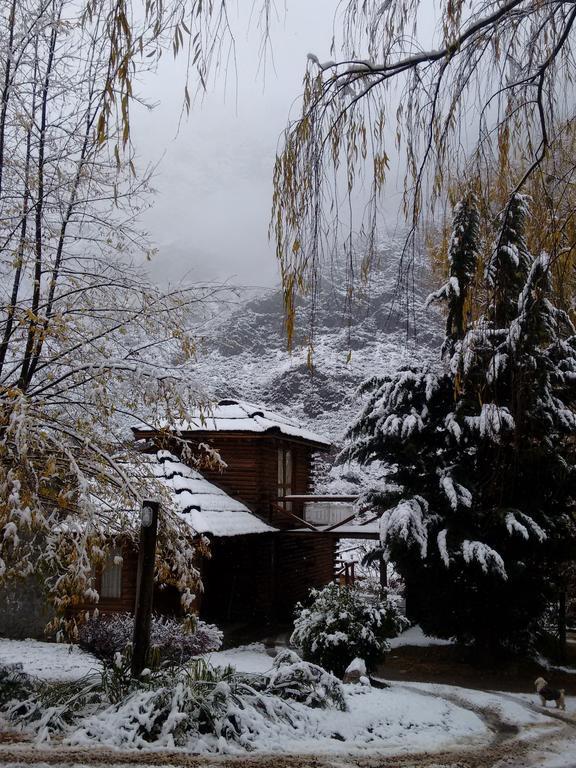 Mendoza Sol Y Nieve Villa Potrerillos Ngoại thất bức ảnh